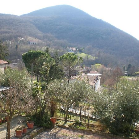 Locanda-Trattoria Al Rio Cinto Euganeo Exteriör bild